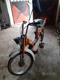 Califfo rizzato 1977