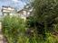 Immagine 13