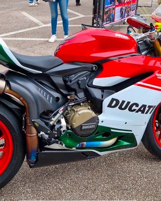 Panigale 1299 s