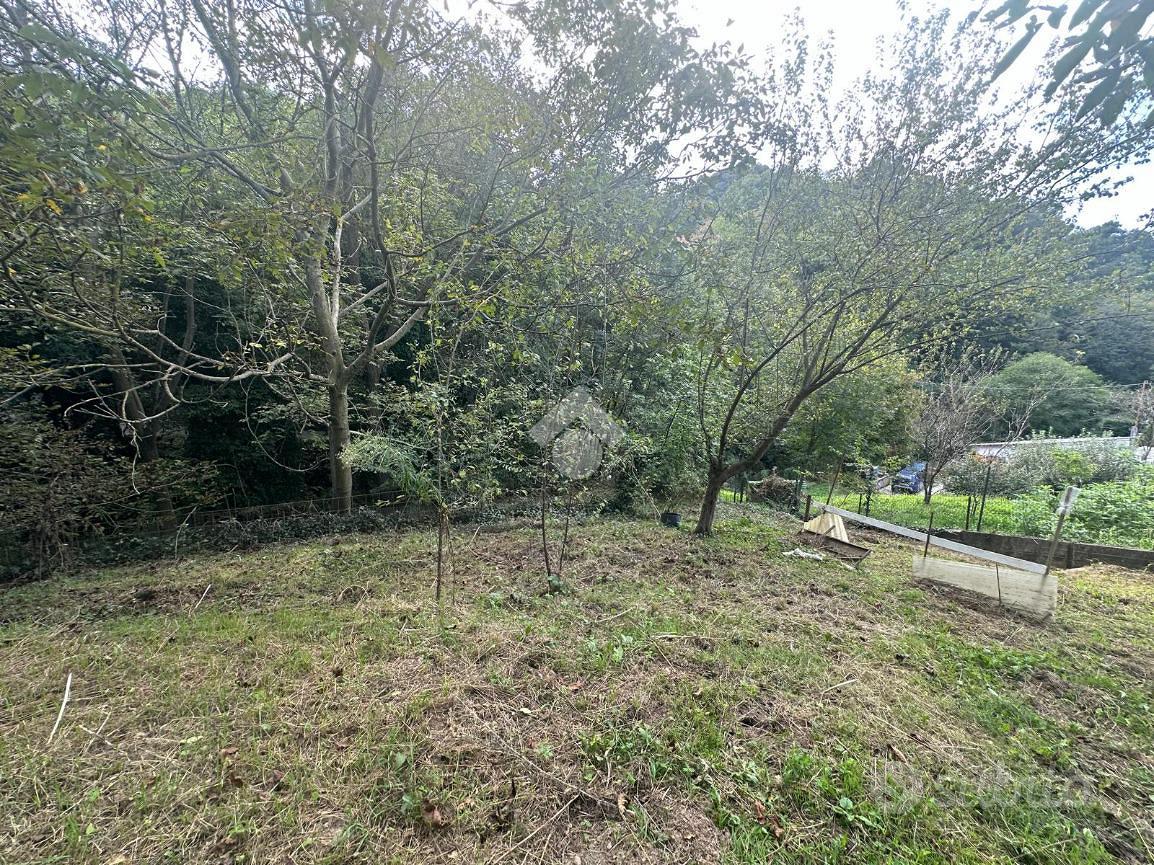 TER. AGRICOLO A TORINO - Altro