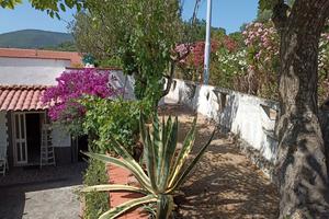 Villetta 6/8 posti a Caprioli 4km Palinuro