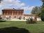 Immagine 4