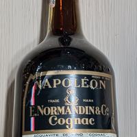 bottiglia di liquore da collezione 