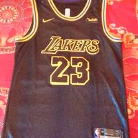 LeBron James Los Angeles Lakers NBA Maglia Nike