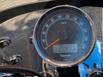 triumph America