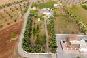 villa-domus-olea-giardino-ed-alberi-da-frutto