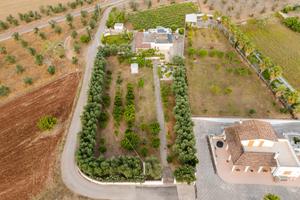 Villa Domus Olea - Giardino ed Alberi da Frutto