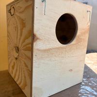 nidi pappagalli media taglia kakariki calopsite ec