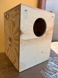 nidi pappagalli media taglia kakariki calopsite ec