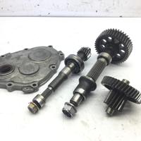 CARTER E INGRANAGGI RUOTA POSTERIORE KYMCO DOWNTOW