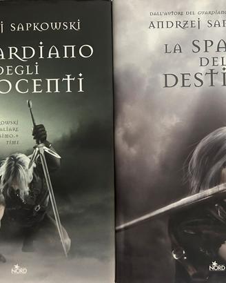 The Witcher di Andrzej Sapkowski (Editrice Nord)