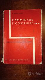 Camminare e costruire ed Giuseppe  Principato 
