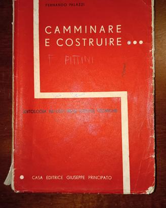 Camminare e costruire ed Giuseppe  Principato 