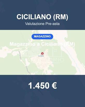Immobile in asta di 7 m² a Ciciliano