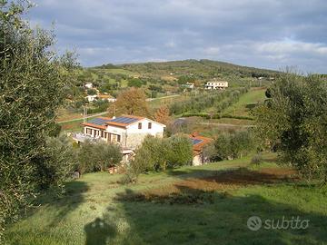 Non disponibile estate 2025