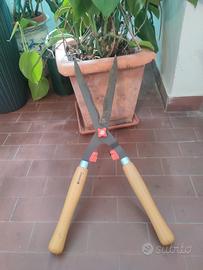 tagliasiepi