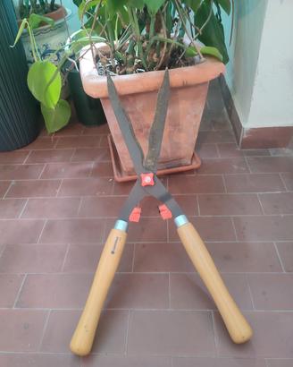 tagliasiepi