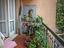 Immagine 19