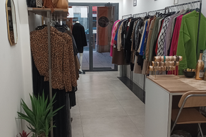 Attività commerciale