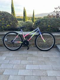 2 Biciclette Mountain Bike