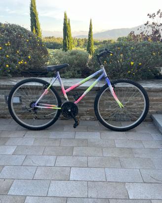 2 Biciclette Mountain Bike