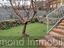 Immagine 23