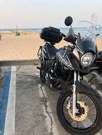 Transalp 700 Anno 2010