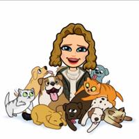 Cat Dog Sitter • Pet-sitting • Pensione animali