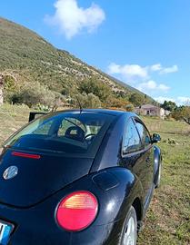 Maggiolino Volkswagen Vintage