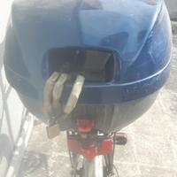 Bici citybike29 alluminio baule cambio