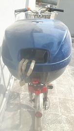 Bici citybike29 alluminio baule cambio