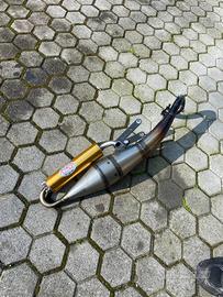 Marmitta leovince tt