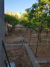 Giardino Con Garage
