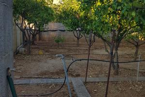 Giardino Con Garage