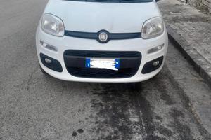 Panda Nuova Bianca 2014