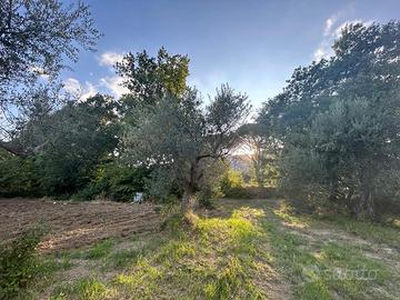 Terreno edificabile 1250 mq