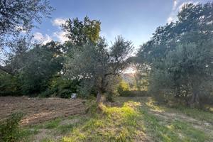 Terreno edificabile 1250 mq