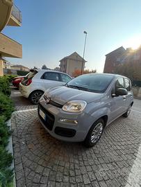 FIAT Panda 3ª serie - 2018