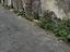 Immagine 21