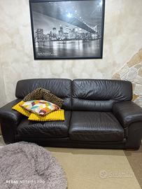 divano letto pellegrino 