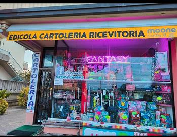 Cartolibreria molto ben avviata - Alto Fatturato