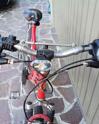 Mountain bike uomo 