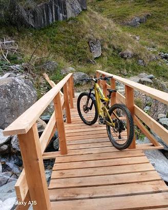 mtb flyer