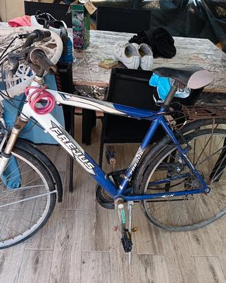 bici da uomo