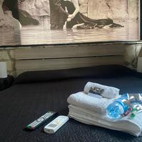 Camera Anita - Movie