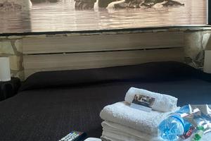 Camera Anita - Movie