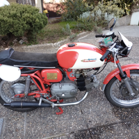 Aermacchi ala verde 250