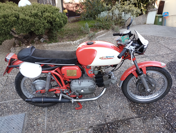 Aermacchi ala verde 250