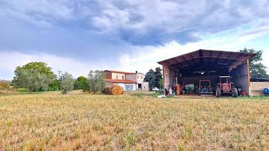Terreno di 239 m² a Viterbo