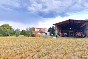 Terreno di 239 m² a Viterbo